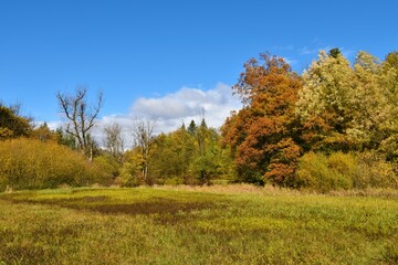 Fototapeta premium Marsh in Rakov Skocjan, Notranjska, Slovenia and a forest in colorful autumn foliage