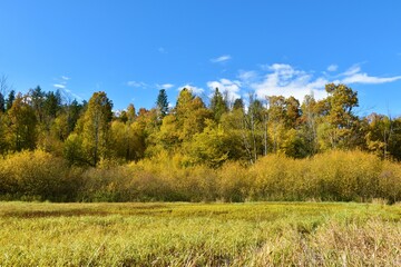 Meadow in Rakov Skocjan in Slovenia and a forest in colorful autumn foliage behind