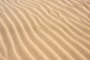 Fototapeta na wymiar Diagonal ripples in a yellow sand natural textured background.
