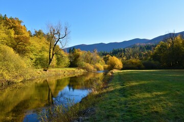 Fototapeta premium Scenic Rak river in autumn colors and a reflection of the trees in the lake and hill in the background in Rakov Skocjan Notranjska, Slovenia