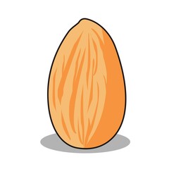 healthy almond peanut illustration vector design