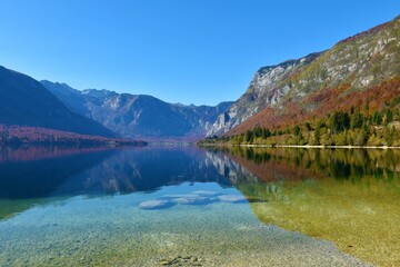 Fototapeta na wymiar Scenic view of Bohinj lake in Gorenjska, Slovenia with the slopes covered in red colored autumn forest and a reflection of the surrounding mountains in the lake