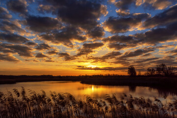 Złoty poranek nad stawem, Podlasie, Polska © podlaski49