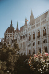 Fototapeta premium budapest urban shooting, beautiful color and vibes