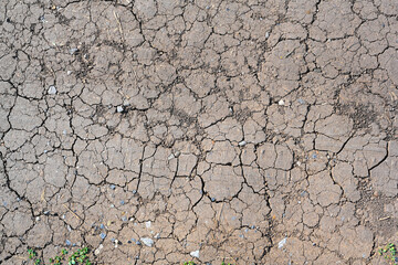 Dry mud cracked ground texture. Drought season background. Dry and cracked land, dry due to lack of rain. Effects of climate change.