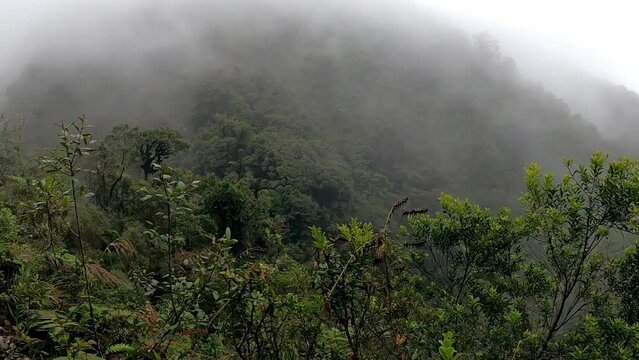 Pov from tourist bus driving on edge of Death Road, Bolivia