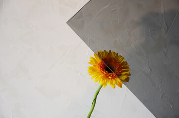 Sample of frosted colored glass.