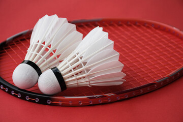 Cream white badminton shuttlecock and racket on red floor in indoor badminton court, copy space, soft and selective focus on shuttlecocks.