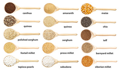 set of wooden spoon with various grains with names