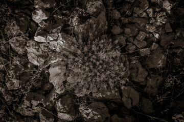 rocky beach in croatia makarskar, beatuful sun colors