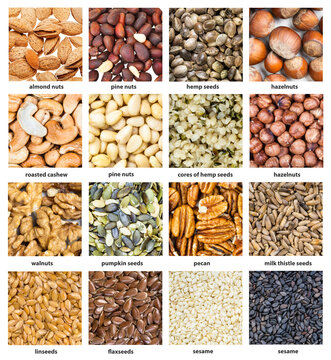 various seeds and nuts with names close up