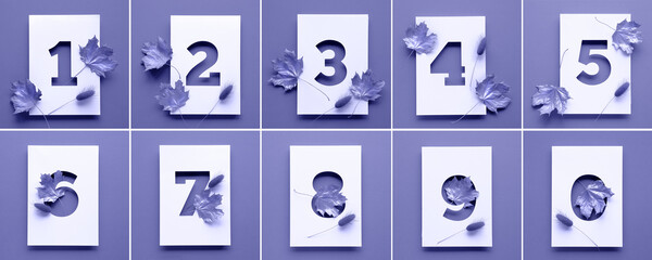 Numbers with dry autumn maple leaves. Purple very peri monochrome paper background. Cut out numbers...