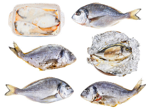 set of cooked and raw gilt-head sea bream fishes