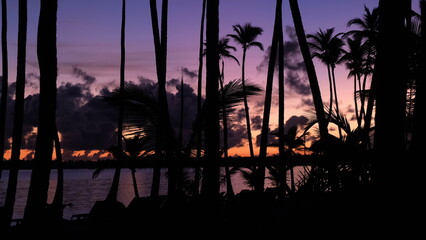 Palm trees Caribbean island. Daybreak over sea background. Seashore palms beach with red daybreak...