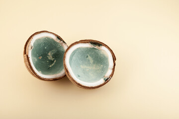 Moldy spoiled coconut. Improper food storage. Concept - Reduction of organic waste
