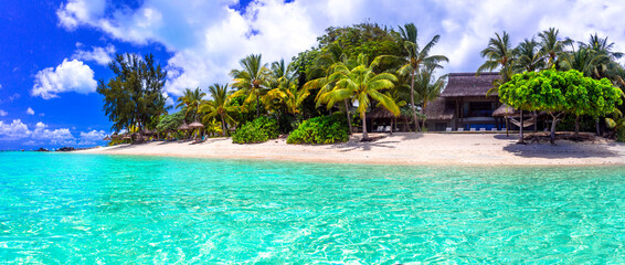 Perfect tropical holidays, Idyllic beach scenery . Le Morne, Mauritius island - obrazy, fototapety, plakaty