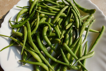 Radish pods or Mogri fali , green raw vegetable specially during winter season. Easten raw as salad or prepared as curry side dish. Indian or Pakistani asian vegetable Radish pod - obrazy, fototapety, plakaty