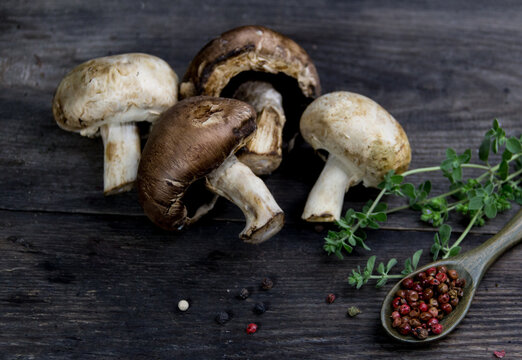 champinion mushrooms and fresh vegetables from the organic garden