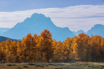 Fototapeta premium Scenic Autumn Landscape in Grand Teton National Park Wyoming