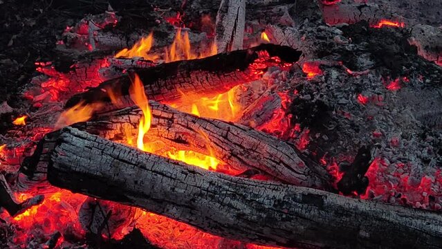 burning bonfire and coals close-up with flying small sparks, close-up as a texture. Burning logs. Natural background