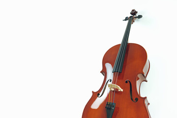 Obraz na płótnie Canvas Mahogany cello on a white background.