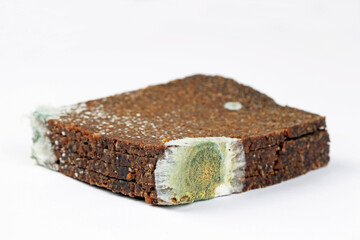 Pumpernickel mit Schimmel