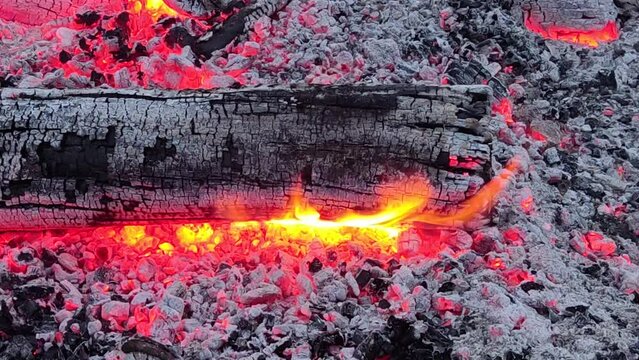 burning bonfire and coals close-up with flying small sparks, close-up as a texture. Burning logs. Natural background