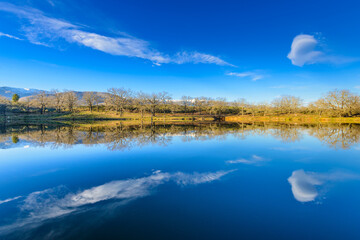 Lake near grassy shore in nature