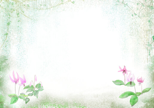 つる植物 Images Browse 1 701 Stock Photos Vectors And Video Adobe Stock