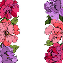 Vector Pink and purple peony. Floral botanical flower. Engraved ink art. Frame border ornament square.