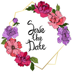 Vector Pink and purple peony. Engraved ink art. Frame border ornament square. Save the Date handwriting calligraphy.