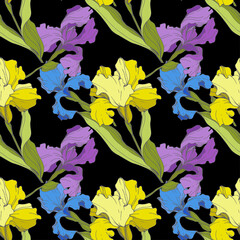 Vector Iris floral botanical flower. Seamless background pattern. Fabric wallpaper print texture.