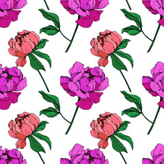 Vector Pink and purple peony floral botanical flower. Engraved ink art. Seamless background pattern.