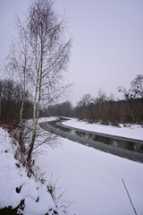 beautiful winter landscape. unfrozen river flows in the forest. birches on the banks of the river. meandering river in winter. trees lean towards the river. ice melts. thaw in the wild.