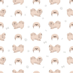 Pekingese dog seamless pattern. Different poses, coat colors set
