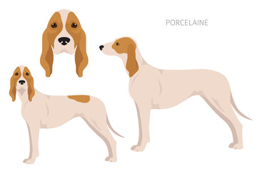 Porcelaine dog clipart. Different poses, coat colors set