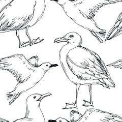 Vector Sky bird seagull in a wildlife isolated. Black and white engraved ink art. Seamless background pattern.