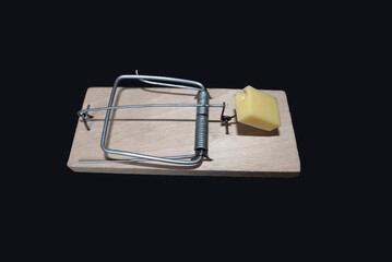 A piece of cheese in a mousetrap on a black background.