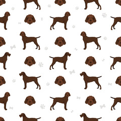 Pudelpointer seamless pattern. Different poses, coat colors set