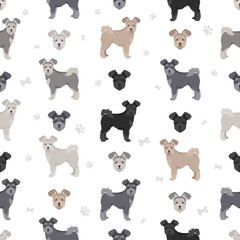 Pumi seamless pattern. Different poses, coat colors set