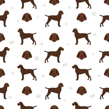 Pudelpointer seamless pattern. Different poses, coat colors set