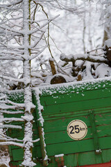 Anhänger mit Holz beladen im Wald