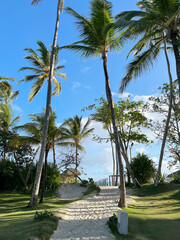 footpath to the beach along the sand between palm trees.Tropical landscape on sunny day
