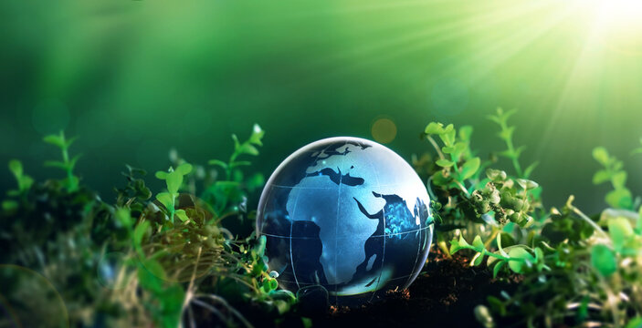 Crystal earth globe on 
sunny background.  Environment day, save clean planet, ecology concept. Earth Day.