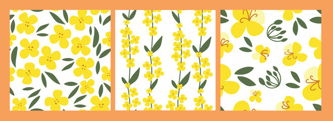 Obraz premium Set seamless pattern rapeseed flowers on a white isolated background. Yellow canola hand-drawn bright plants. Blooming design elements for postcards, banners. Vector illustration.