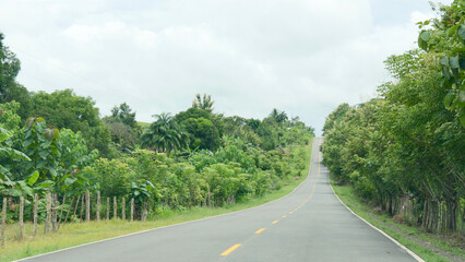Fototapeta na wymiar Pan American Highway
