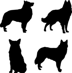 Belgian Sheepdog Silhouette Vector Pack