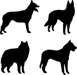 Belgium Shepherd Dog Silhouette Vector Pack