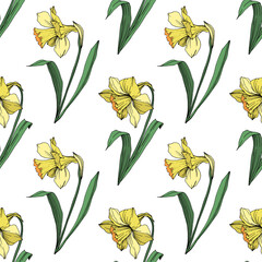 Vector Yellow Narcissus floral botanical flower. Engraved ink art. Seamless background pattern.