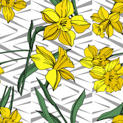 Vector Yellow Narcissus floral botanical flower. Engraved ink art. Seamless background pattern.